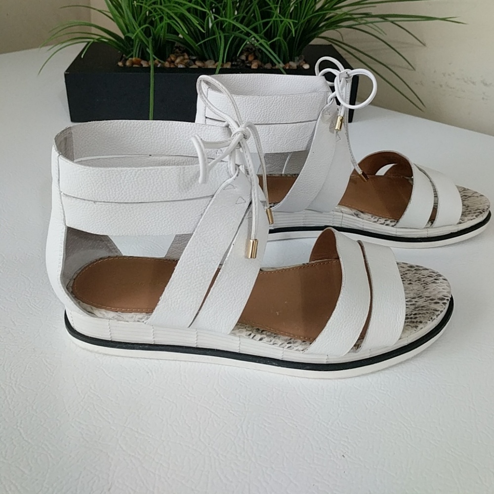 Calvin Klein Caterina Gladiator Sandals